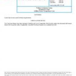 SAE AMS3731/1C
