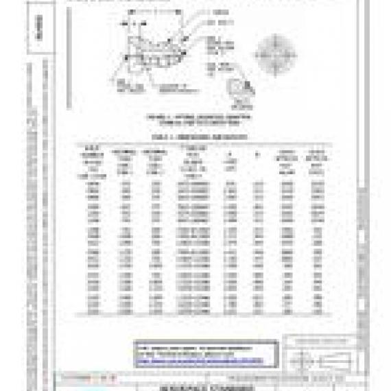 SAE AS4301C