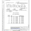 SAE AS6071