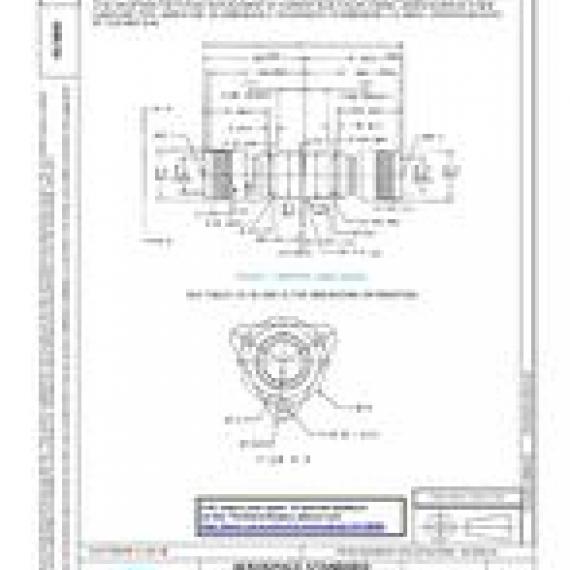 SAE AS5869D