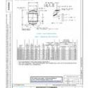 SAE AS81820/2D