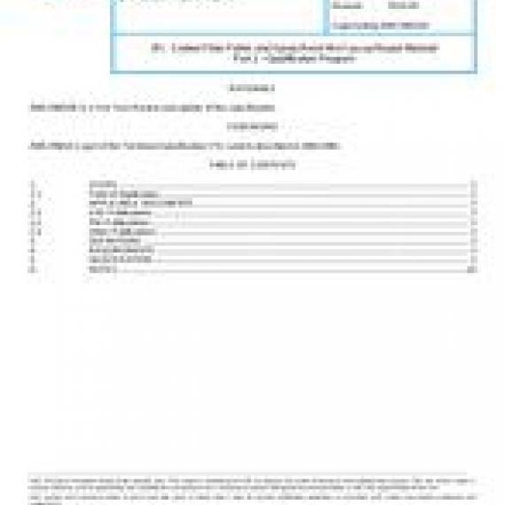 SAE AMS2980/2B