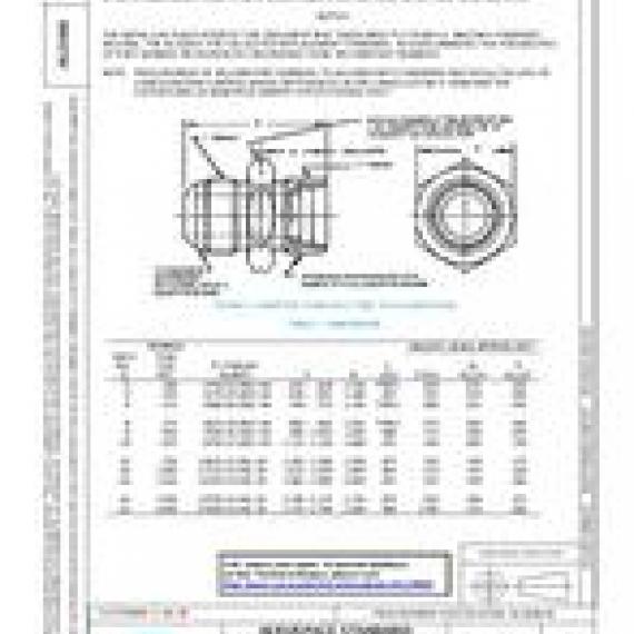 SAE AS21900D