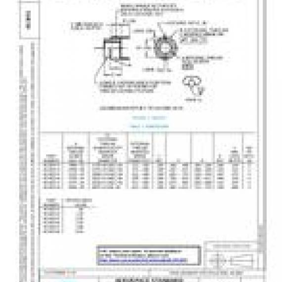 SAE AS3651