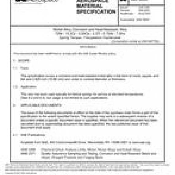 SAE AMS5699G