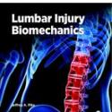 Lumbar Injury Biomechanics