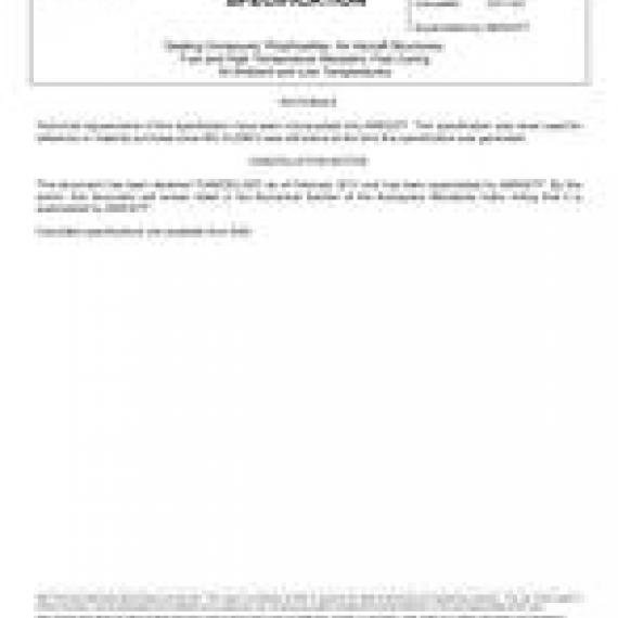 SAE AMSS29574A