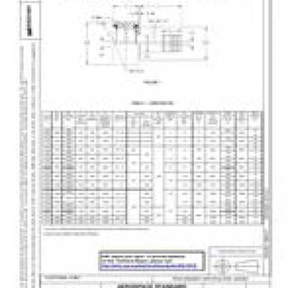 SAE AS21441B