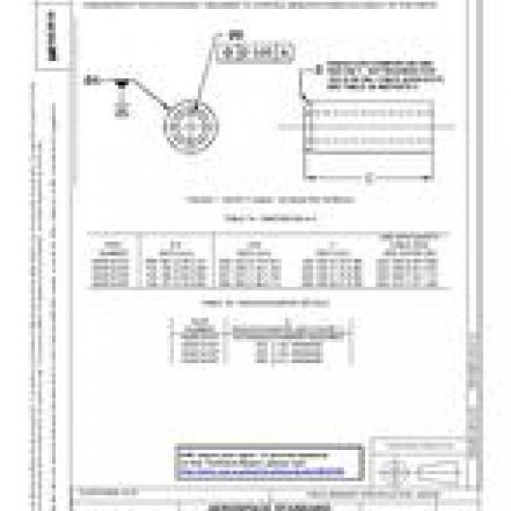 SAE AS3619A