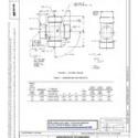 SAE AS100B