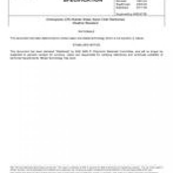 SAE AMS3273F