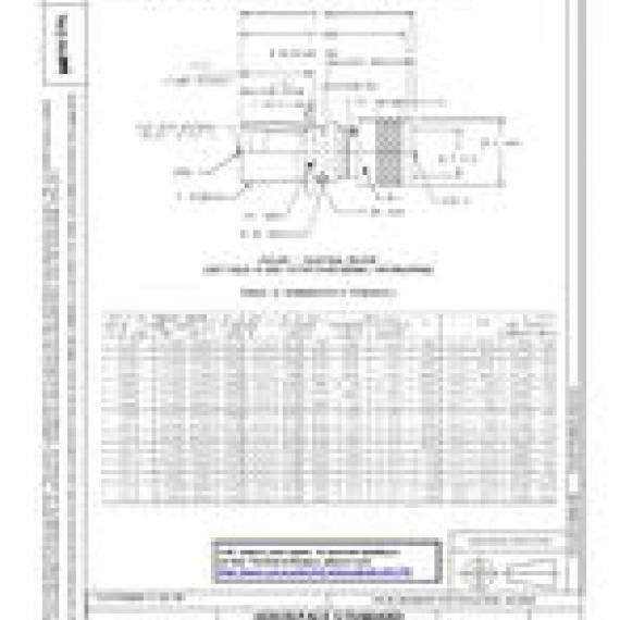 SAE AS5791