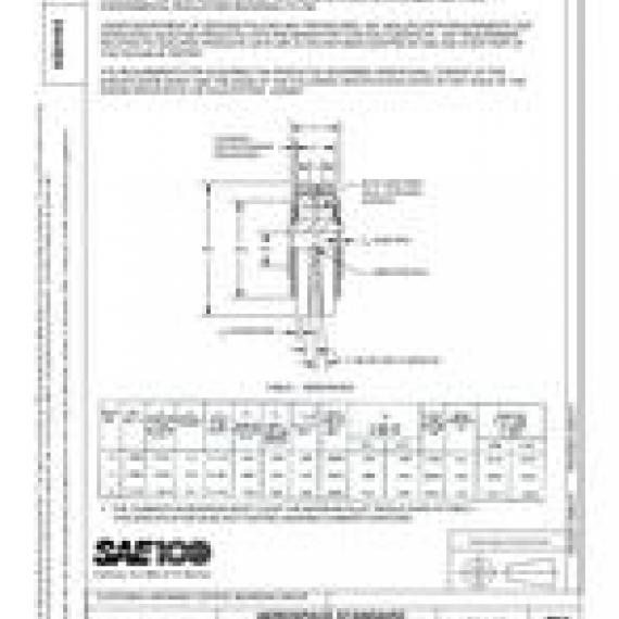 SAE AS24463B