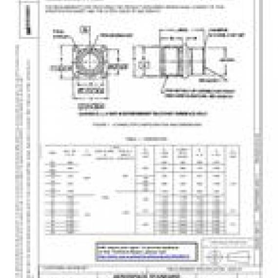 SAE AS34021C