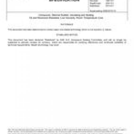 SAE AMS3373/1B