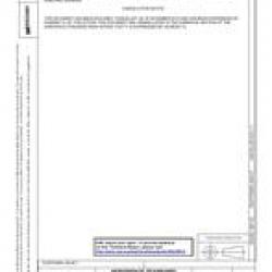 SAE AS33481A
