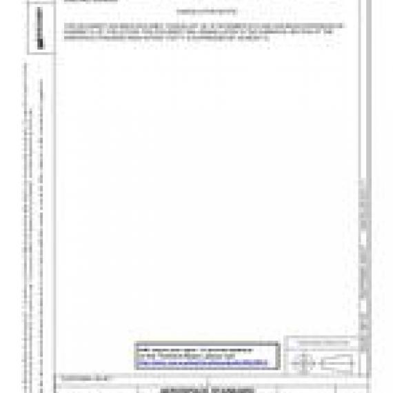 SAE AS33481A
