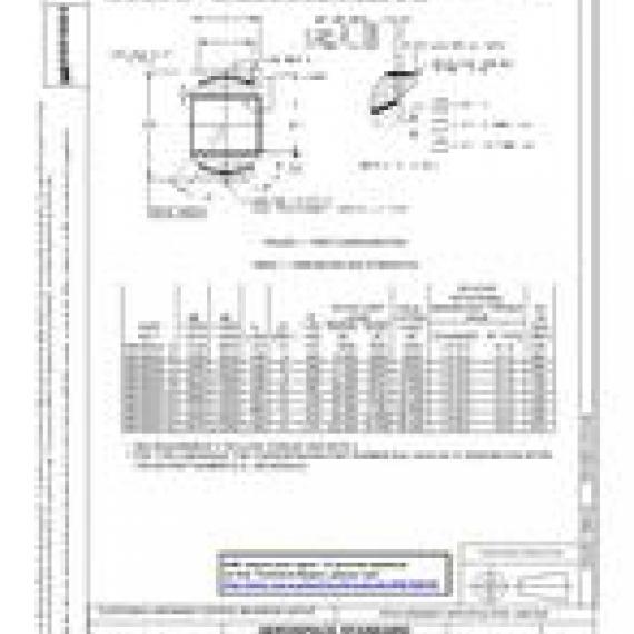 SAE AS81820/2C