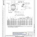 SAE AS81820/2C