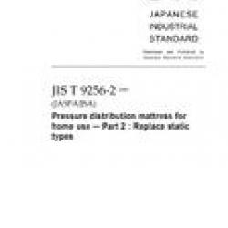 JIS T 9256-2:2009