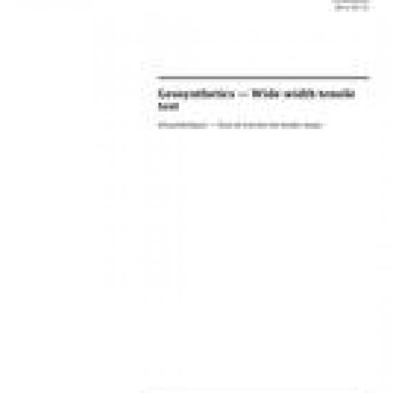 ISO 10319:2015