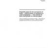 ISO 13479:2009