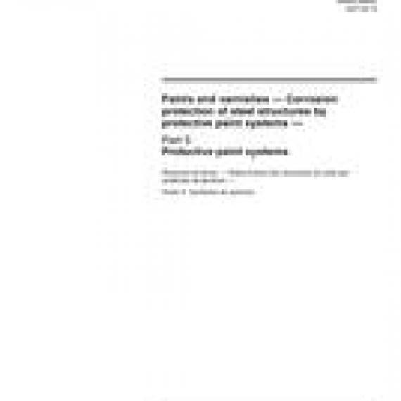 ISO 12944-5:2007