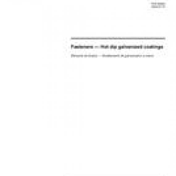 ISO 10684:2004
