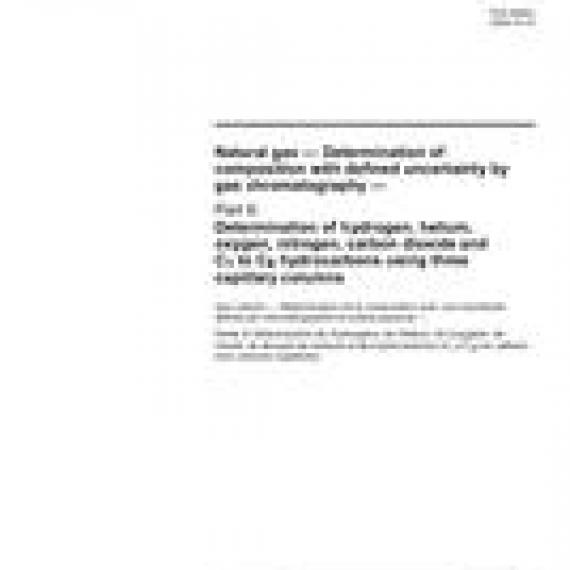ISO 6974-6:2002