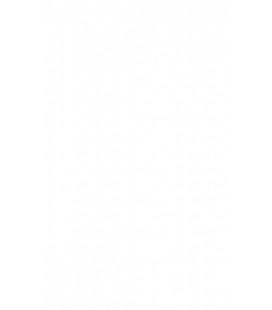 AS (E)2D806-1944
