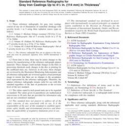 ASTM E802-19