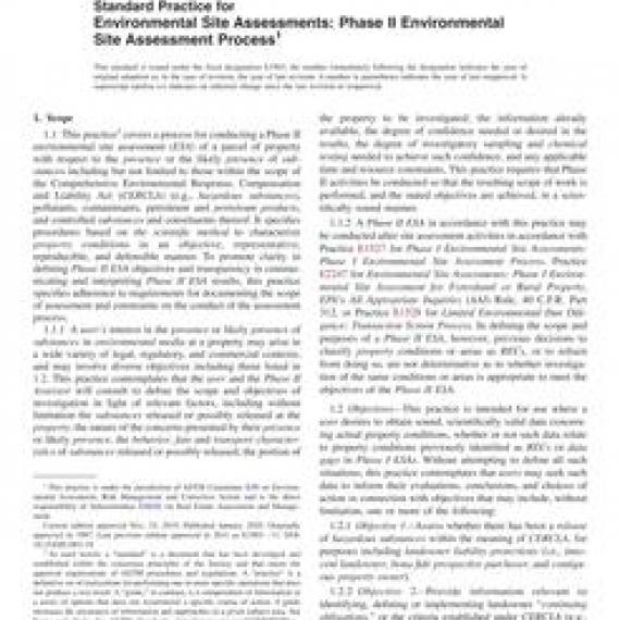 ASTM E1903-19