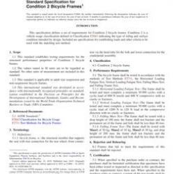 ASTM F2868-19