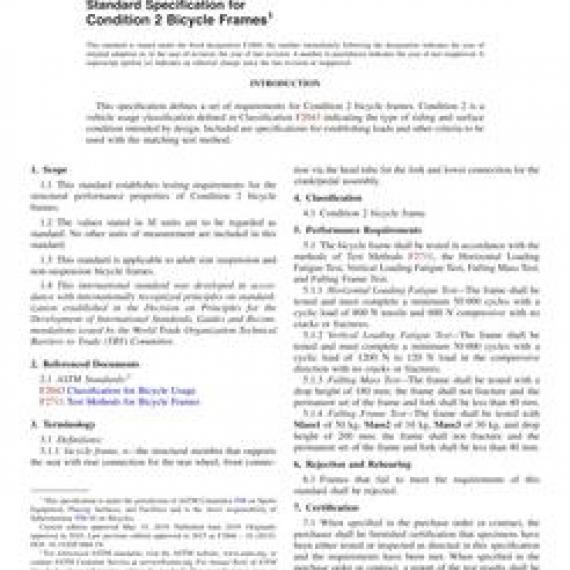 ASTM F2868-19