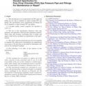 ASTM F2817-13(2019)