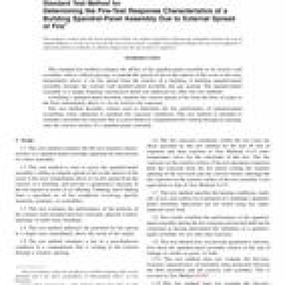 ASTM E2874-19