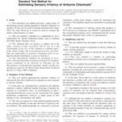 ASTM E981-19