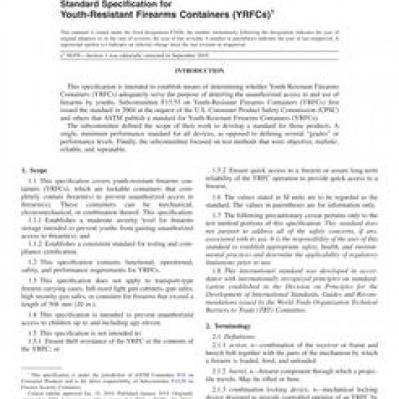ASTM F2456-19e1