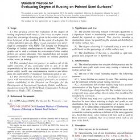 ASTM D610-08(2019)