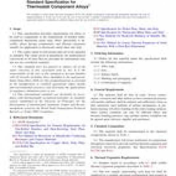 ASTM B753-07(2018)