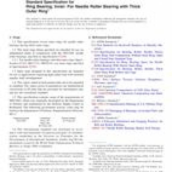 ASTM F2431-04(2018)
