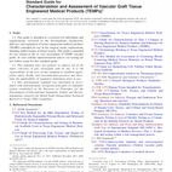 ASTM F3225-17