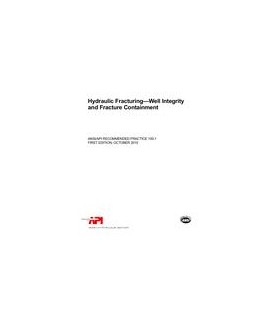 API RP 100-1 (R2020)