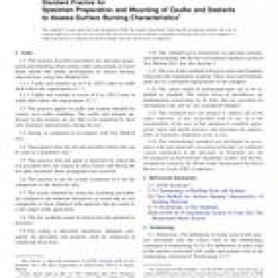 ASTM E2690-17