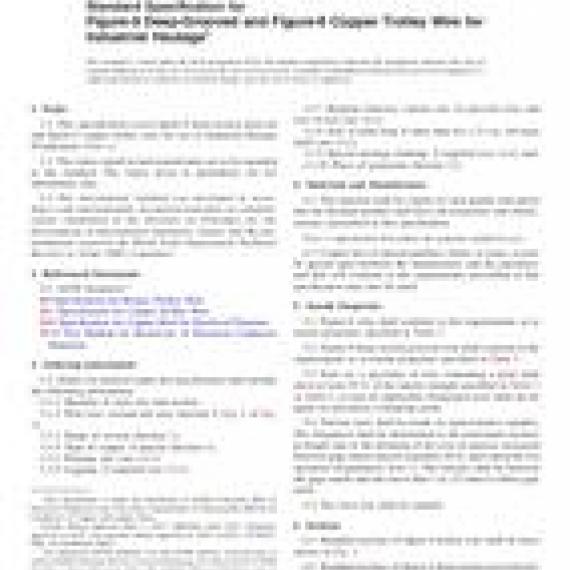 ASTM B116-95(2017)