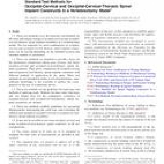ASTM F2706-17