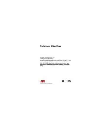 API Spec 11D1