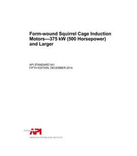API Std 541