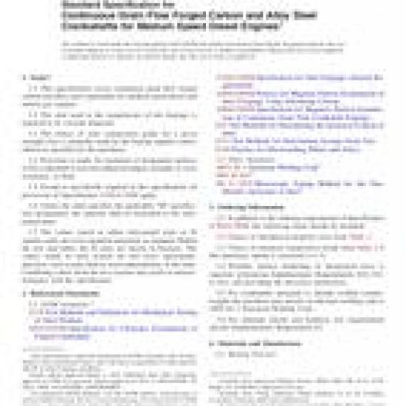 ASTM A983/A983M-06(2016)