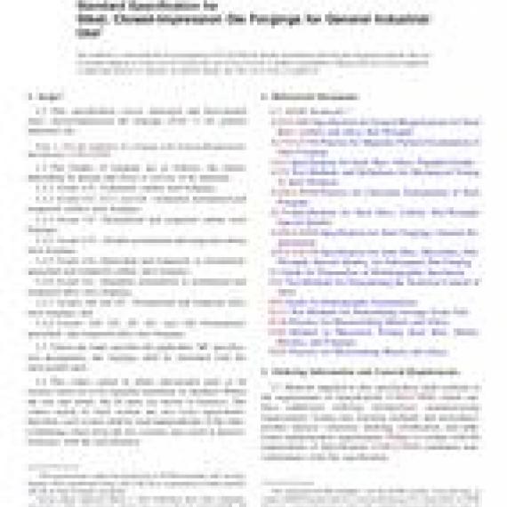 ASTM A521/A521M-06(2016)